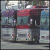 Delirious? tour busses