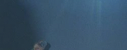Wheaton Illinois, USA - Deeper Tour 2002 (01 Mar 2002)